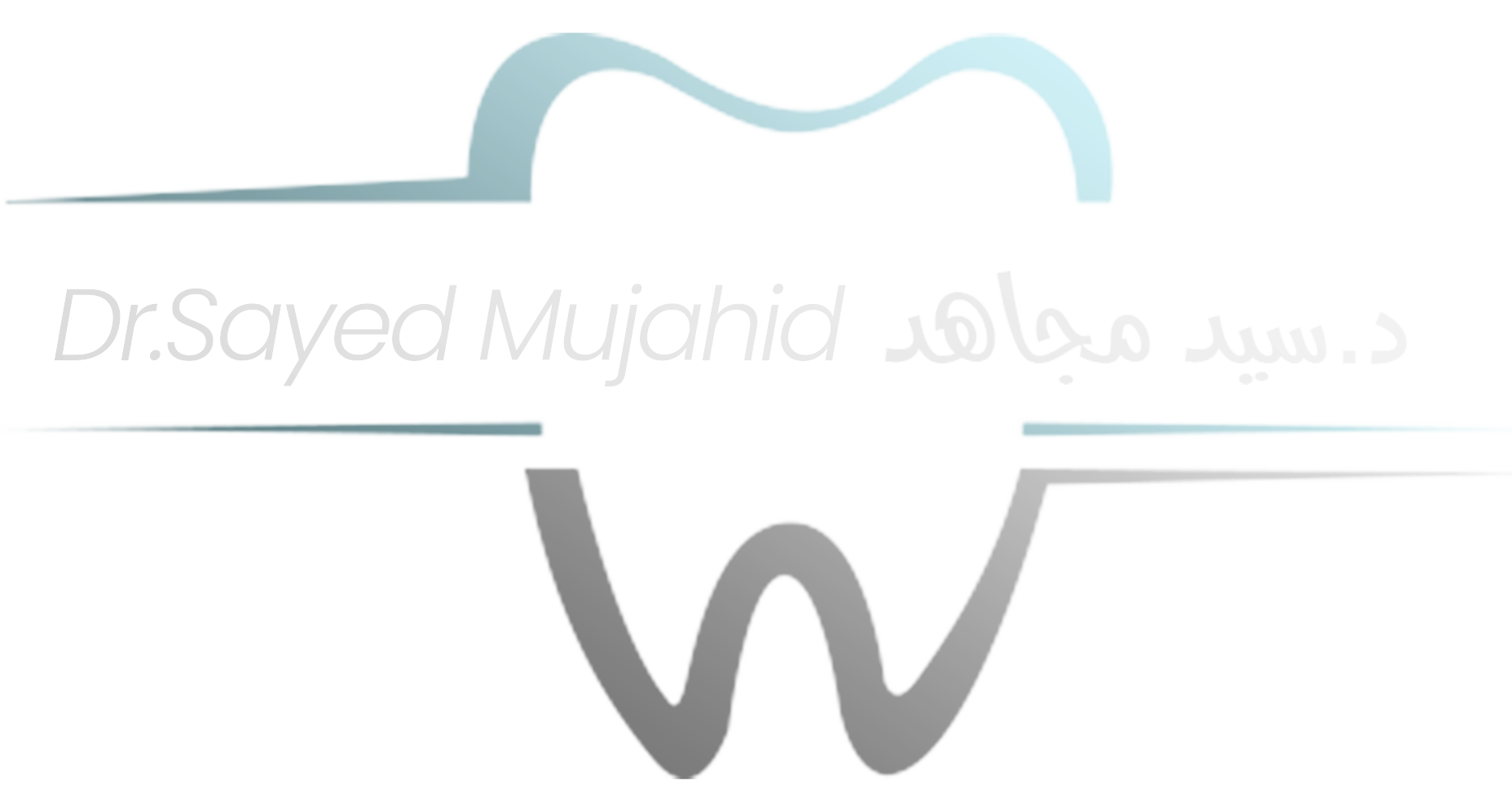 Dr.  Sayed Mujahid